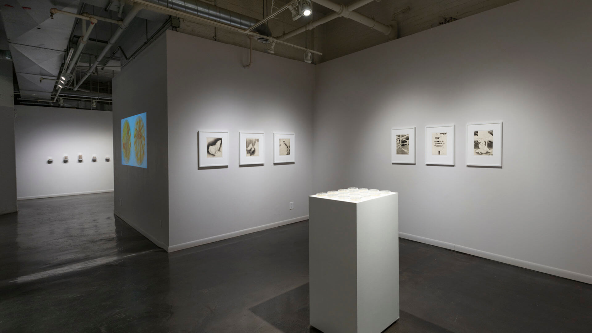 Installation view of Inversion. Image credit: Sarah Fuller.
