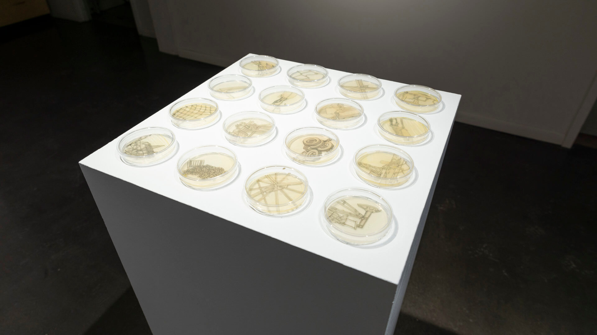 Retrograde by Jill Ho-You. Etching, bacterial culture, mixed media. 2019. Image credit: Sarah Fuller.