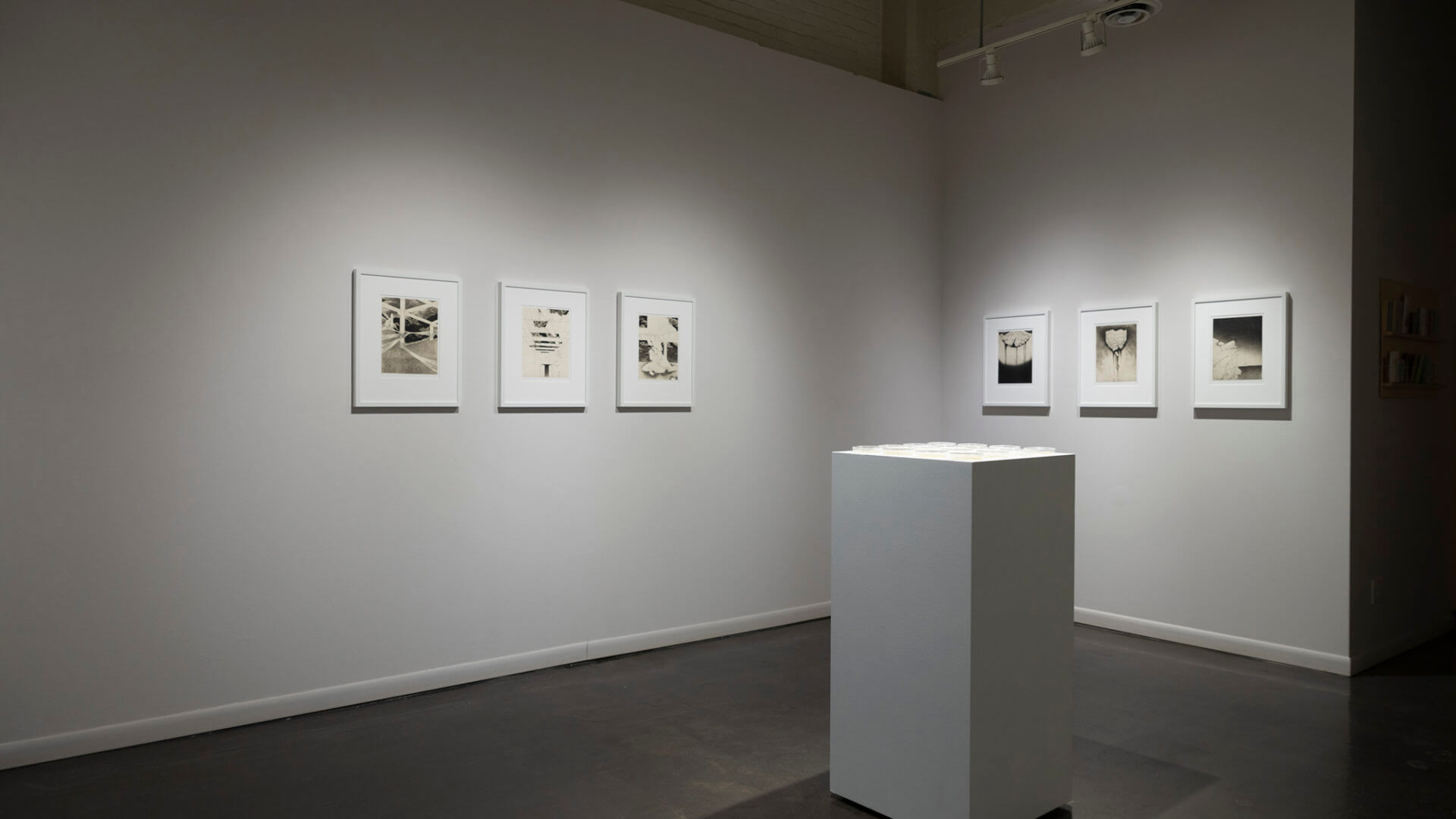 Installation view of Inversion. Image credit: Sarah Fuller.