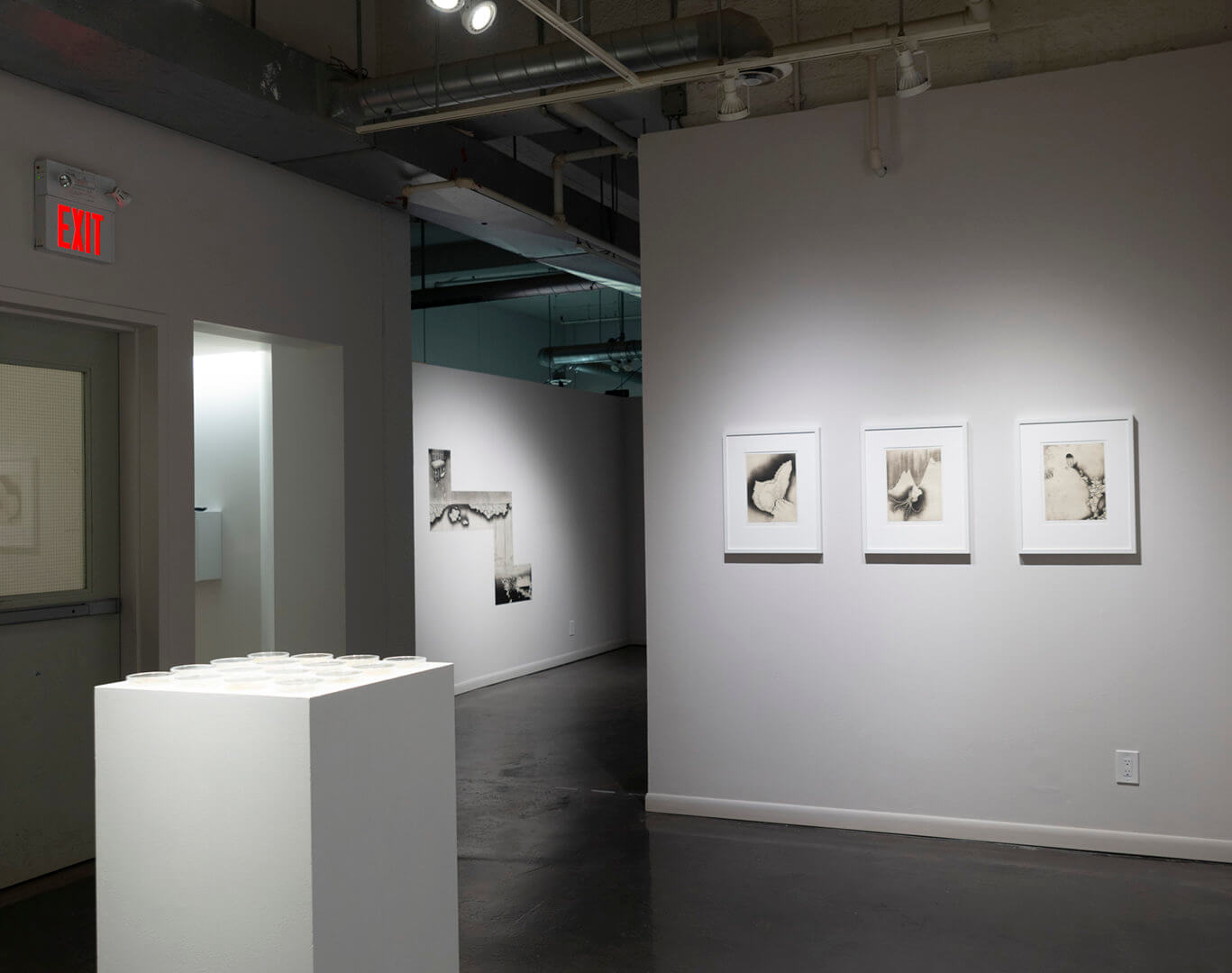 Installation view of Inversion. Image credit: Sarah Fuller.