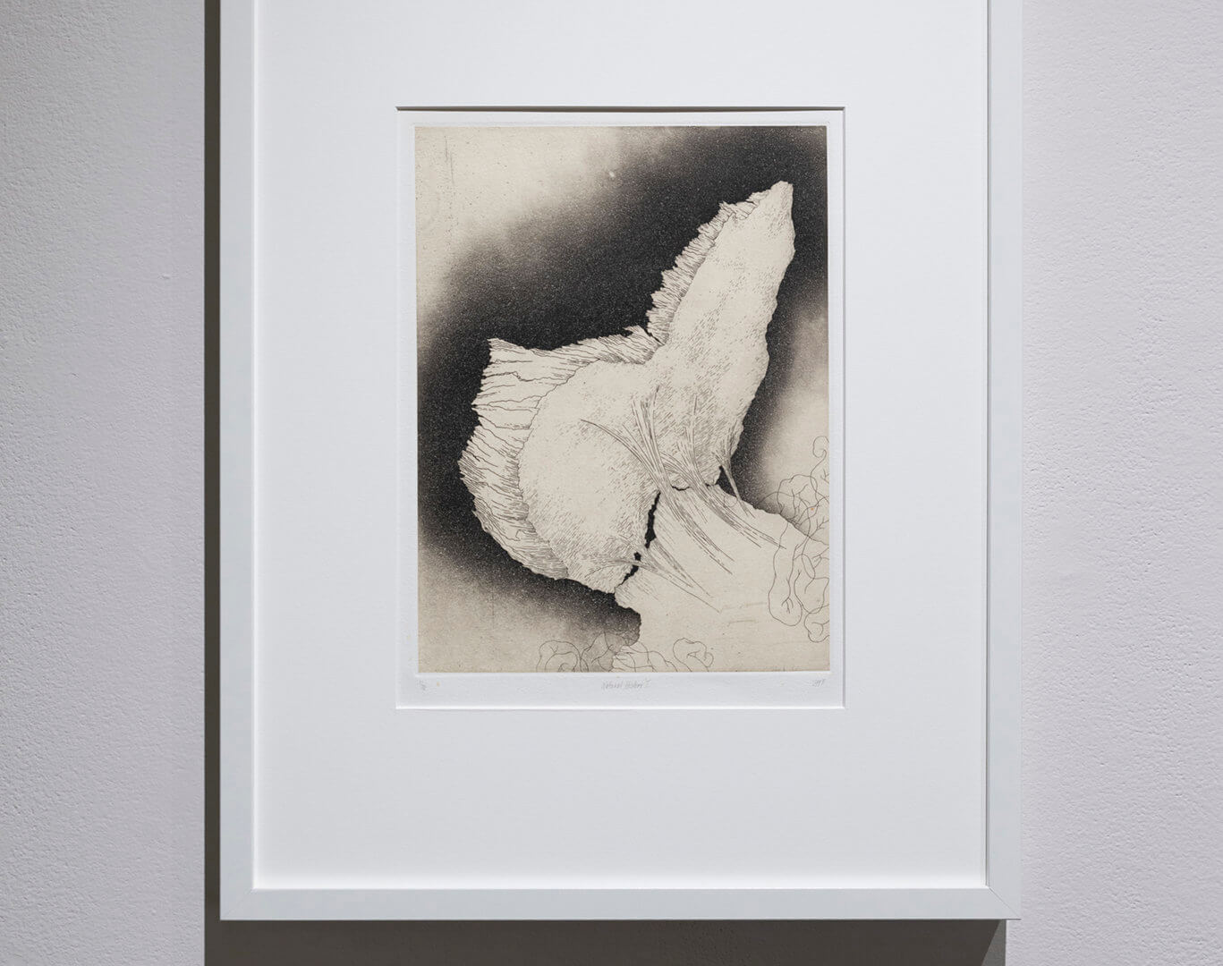 Natural History I by Jill Ho-You. Etching, spit bite and chine collé. 20 x 16". 2013. Image credit: Sarah Fuller.