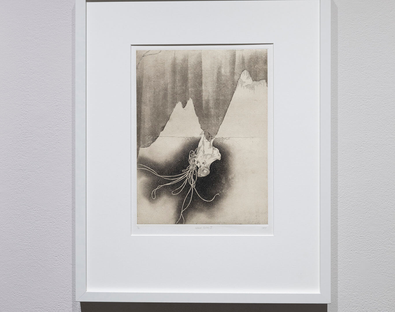 Natural History II by Jill Ho-You. Etching, spit bite and chine collé. 20 x 16". 2013. Image credit: Sarah Fuller.