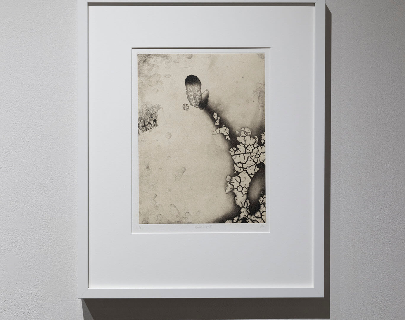 Natural History III by Jill Ho-You. Etching, spit bite and chine collé. 20 x 16". 2013. Image credit: Sarah Fuller.