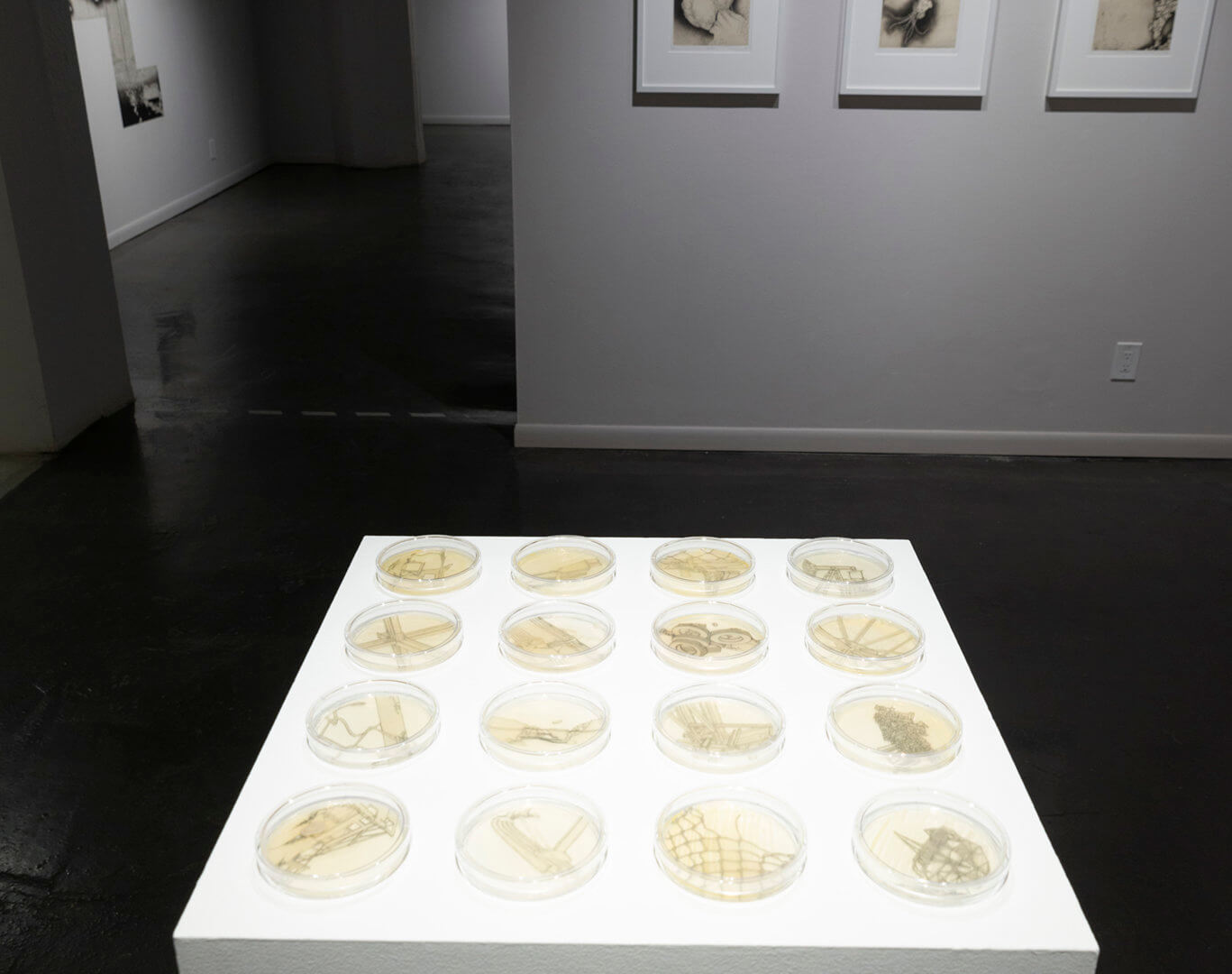 Installation view of Inversion. Image credit: Sarah Fuller.