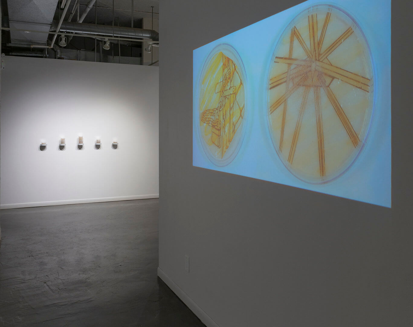 Installation view of Inversion. Video: Retrograde by Jill Ho-You. Two-channel time lapse. 2019. Image credit: Sarah Fuller.