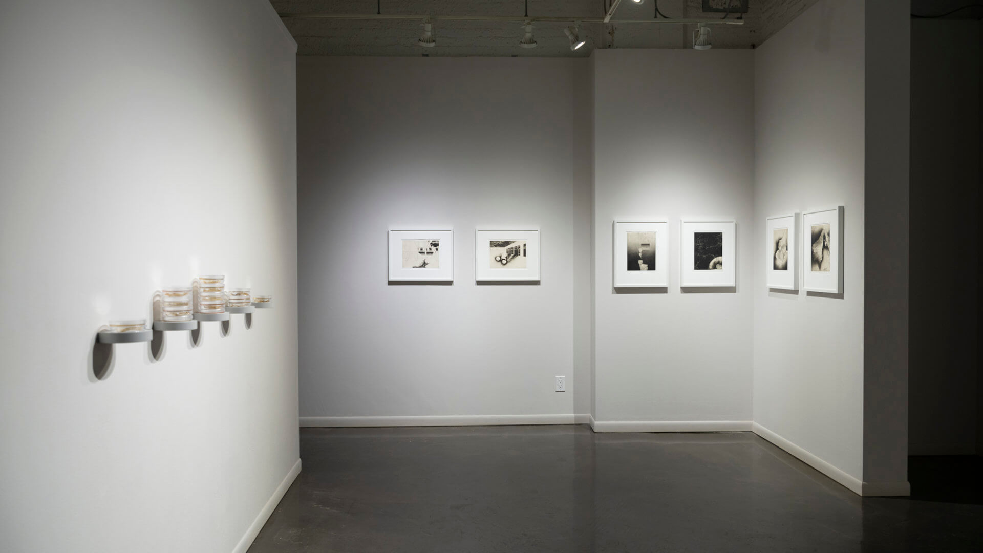 Installation view of Inversion. Image credit: Sarah Fuller.