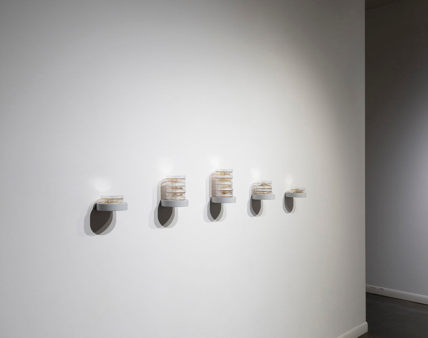 Still Point by Jill Ho-You. Etching, bacterial culture, mixed media. 2019. Image credit: Sarah Fuller.