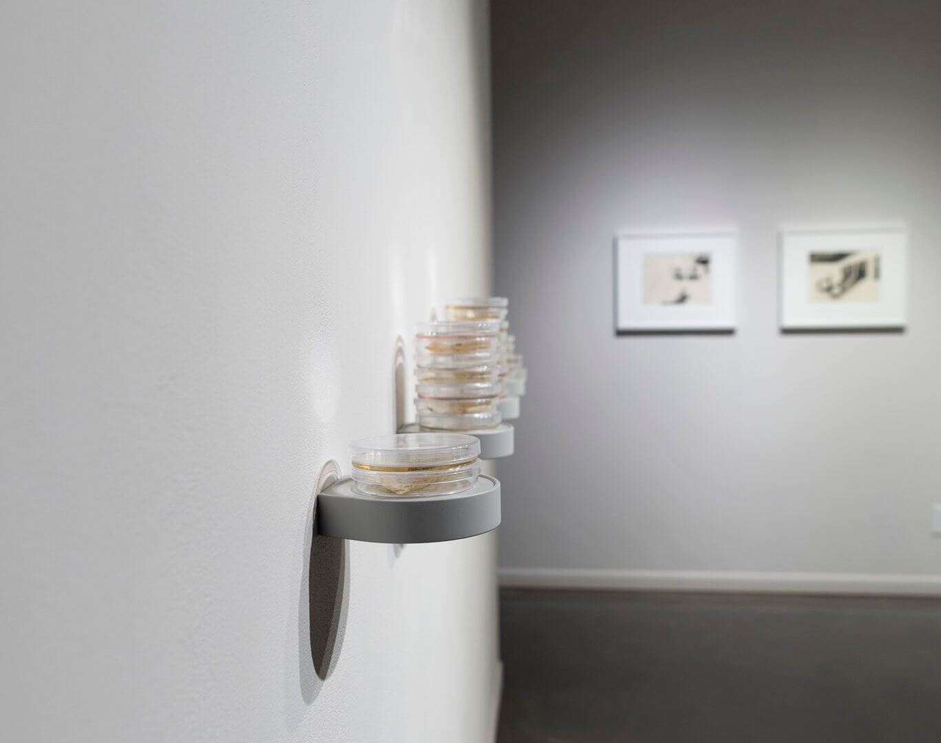 Installation view of Inversion. Image credit: Sarah Fuller.