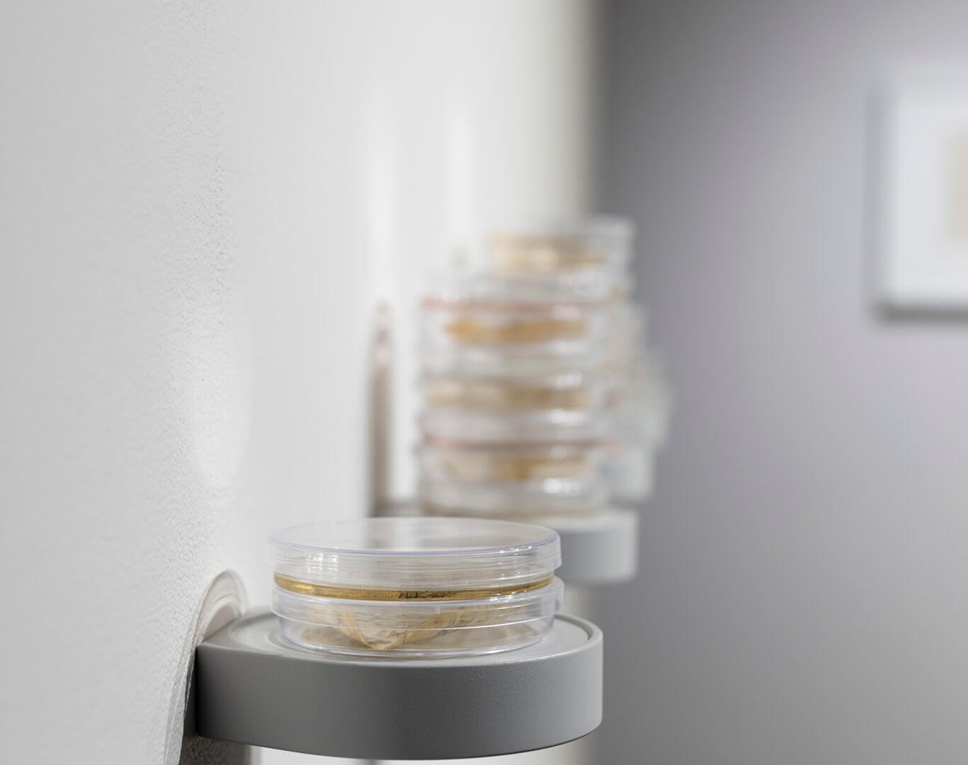 Still Point by Jill Ho-You. Etching, bacterial culture, mixed media. 2019. Image credit: Sarah Fuller.