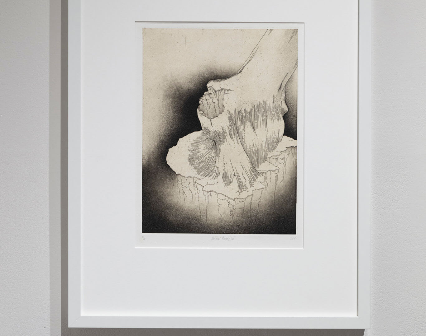 Natural History IV by Jill Ho-You. Etching, aquatint, spit bite and chine collé. 20 x 16". 2013. Image credit: Sarah Fuller.