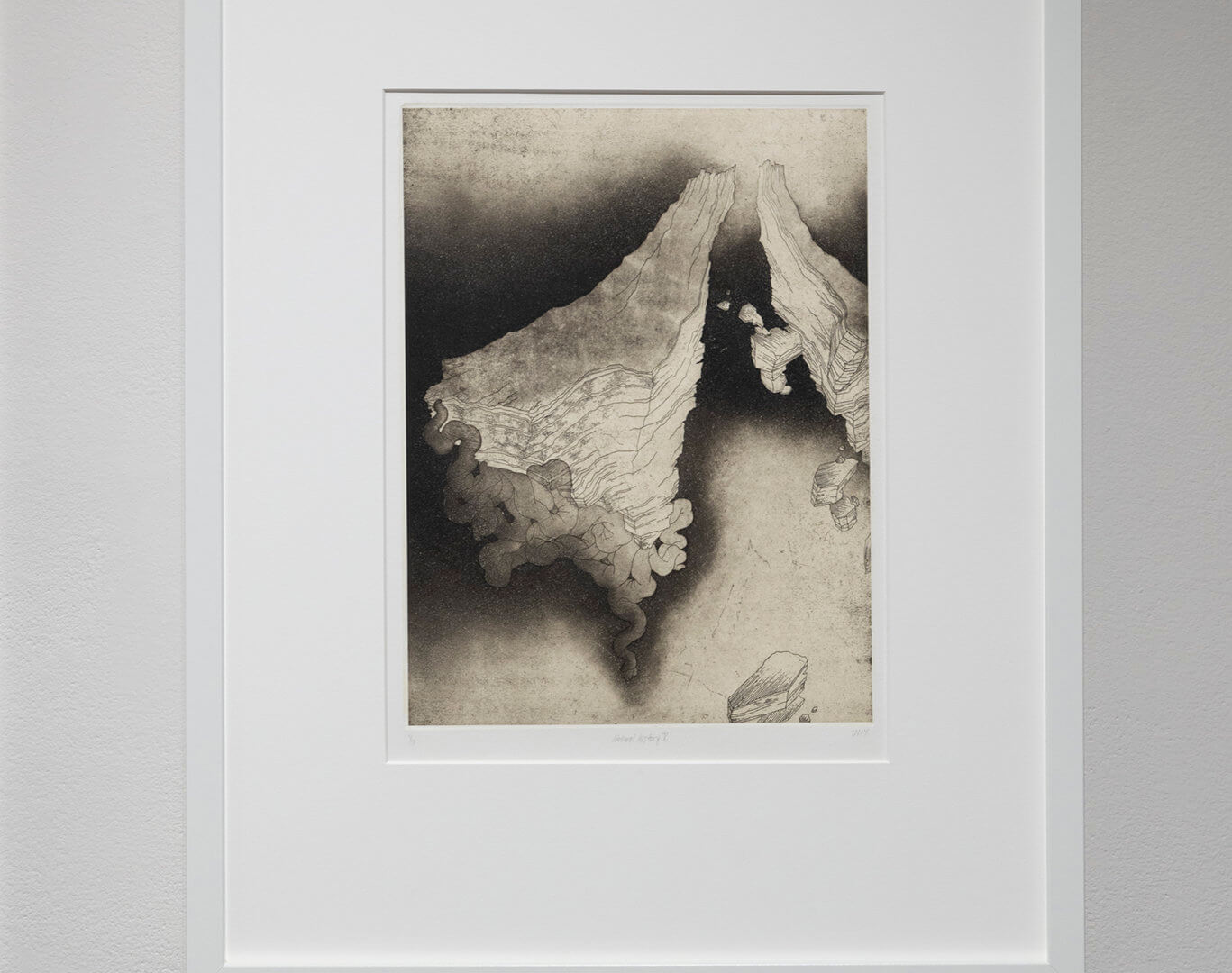 Natural History V by Jill Ho-You. Etching, aquatint, spit bite and chine collé. 20 x 16". 2013. Image credit: Sarah Fuller.