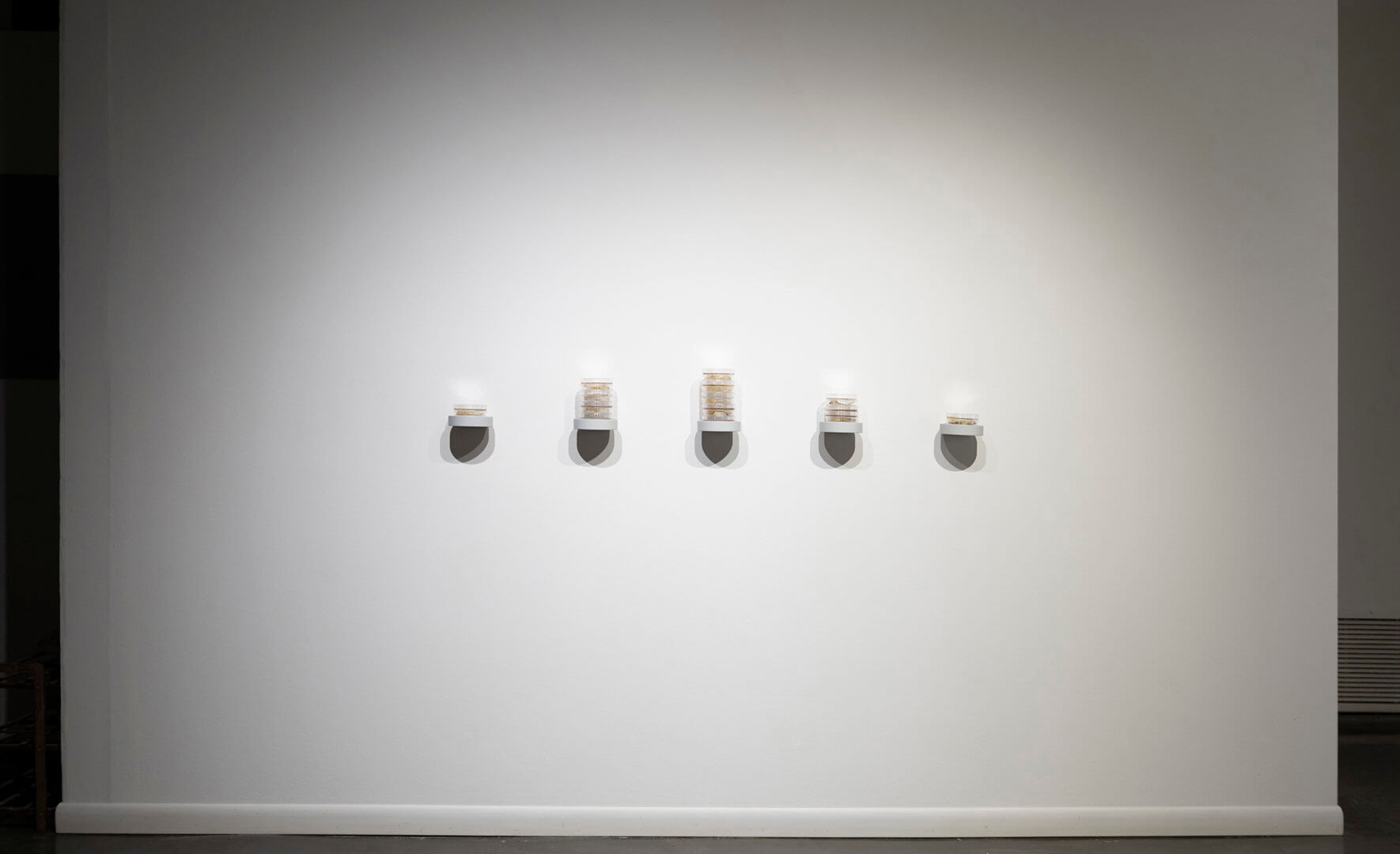 Still Point by Jill Ho-You. Etching, bacterial culture, mixed media. 2019. Image credit: Sarah Fuller.