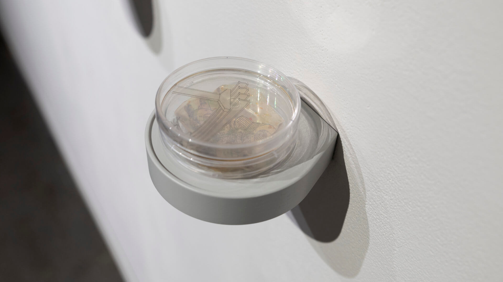 Still Point by Jill Ho-You. Etching, bacterial culture, mixed media. 2019. Image credit: Sarah Fuller.