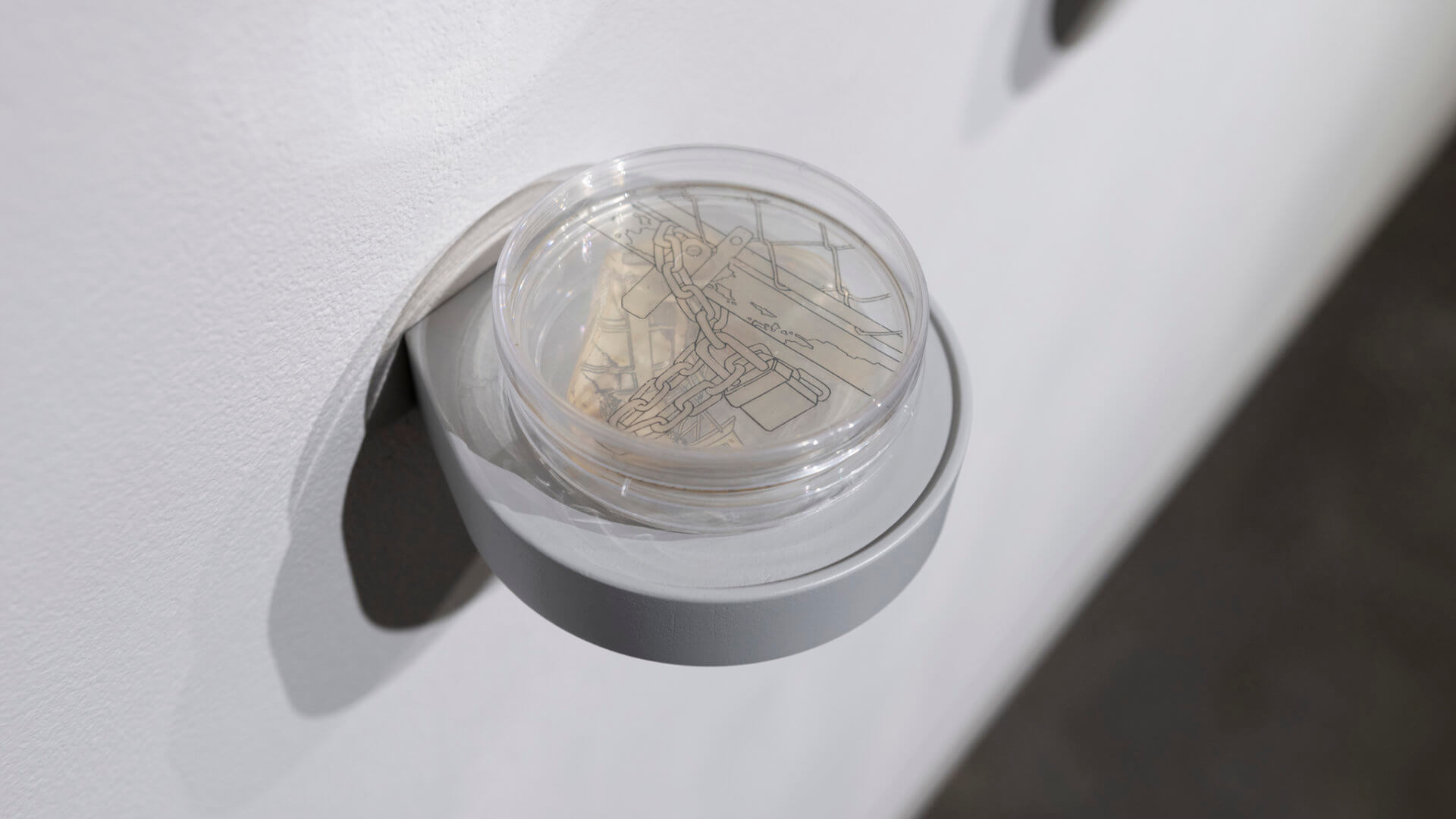 Still Point by Jill Ho-You. Etching, bacterial culture, mixed media. 2019. Image credit: Sarah Fuller.