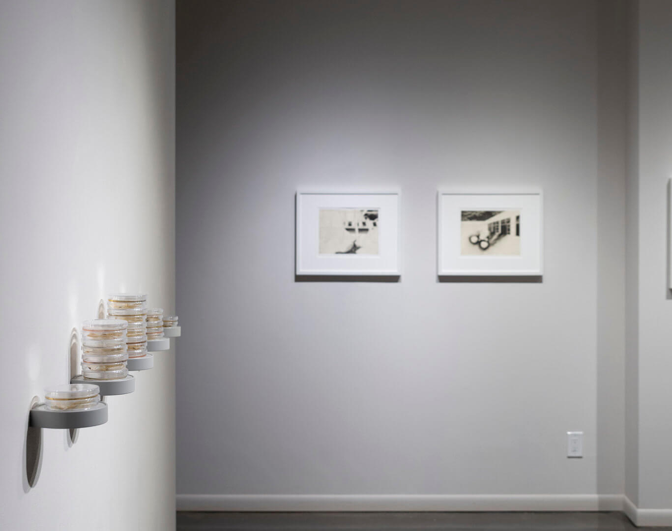 Installation view of Inversion. Image credit: Sarah Fuller.