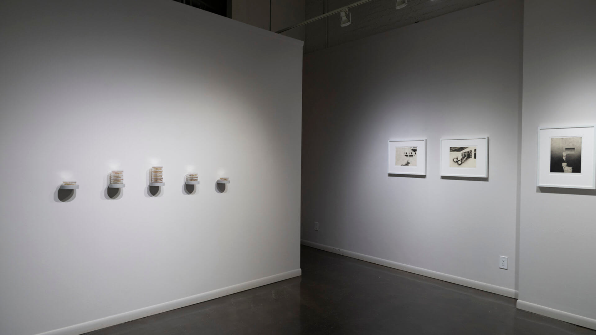Installation view of Inversion. Image credit: Sarah Fuller.
