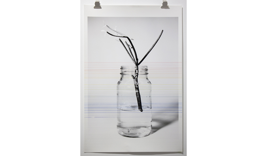 Still image from a video work by April Dean. In this still, a print of a black and white image has colourful paint streaked in thin lines horizontally across it. The paint is in all the colours of the rainbow. The image is a plant cutting floating in a glass jar with water.