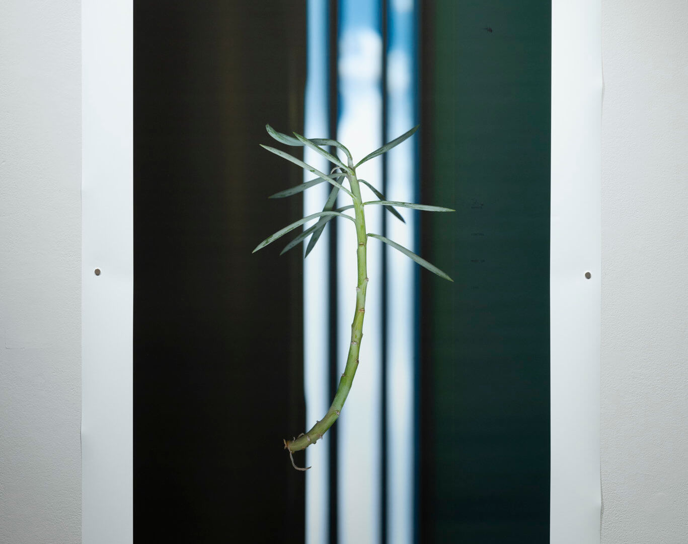 From Here To Sky: III by April Dean. Inkjet and screen print. 44 x 33". 2019. Image credit: Sarah Fuller.