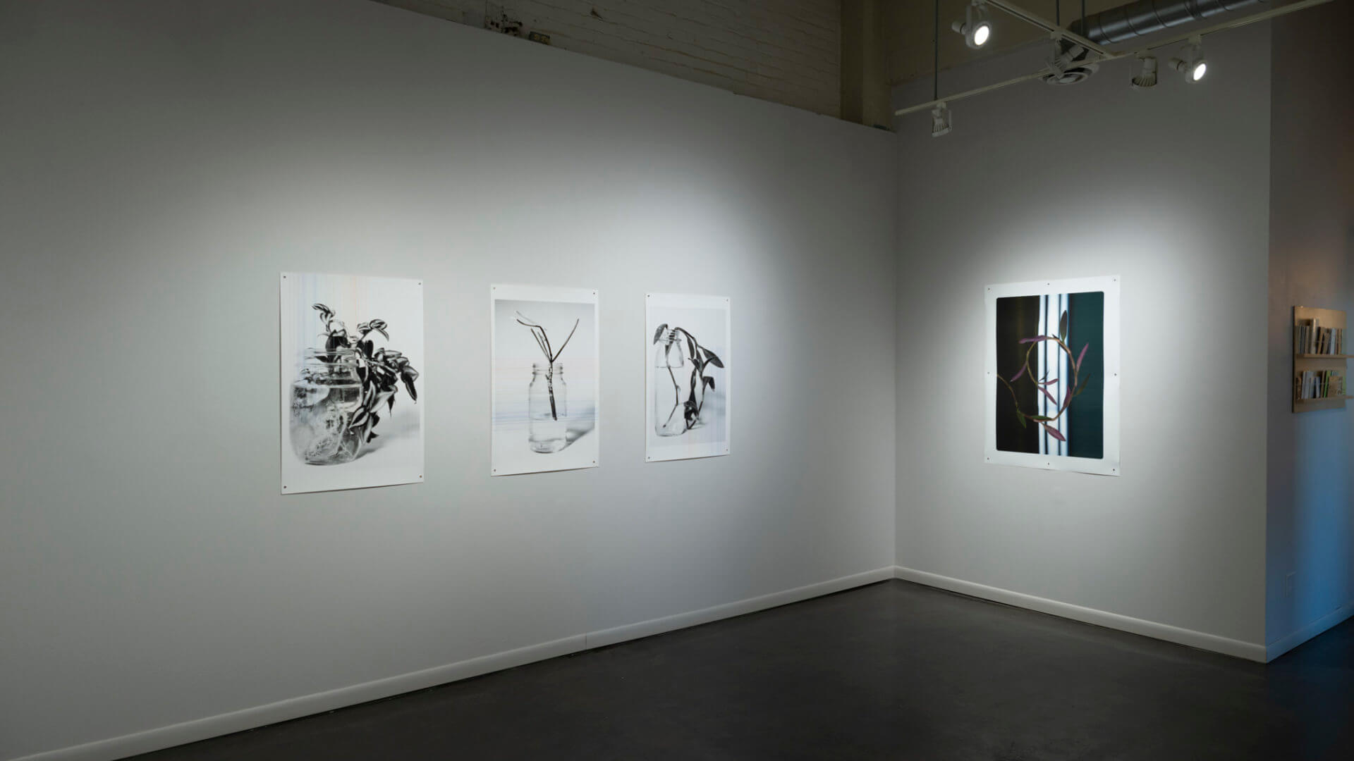 Installation view of Futures Barren / Futures Abundant. Image credit: Sarah Fuller.