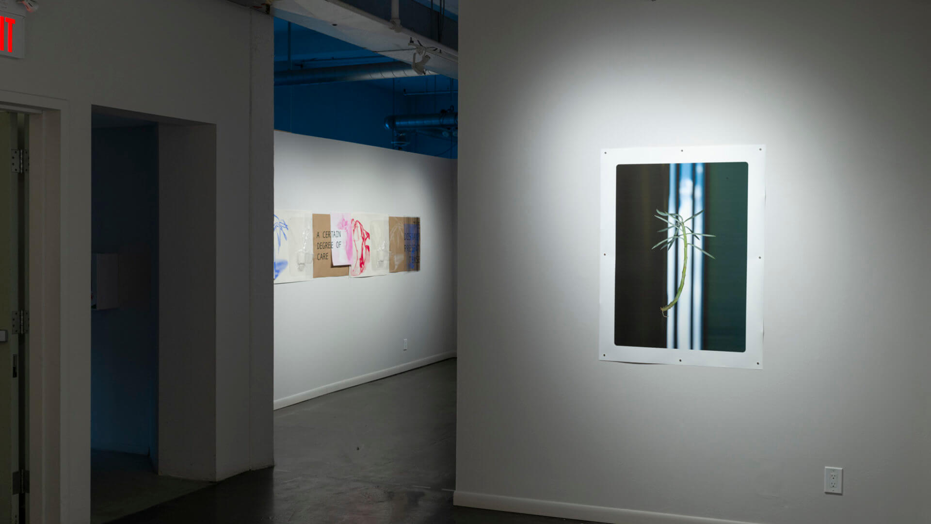 Installation view of Futures Barren / Futures Abundant. Image credit: Sarah Fuller.