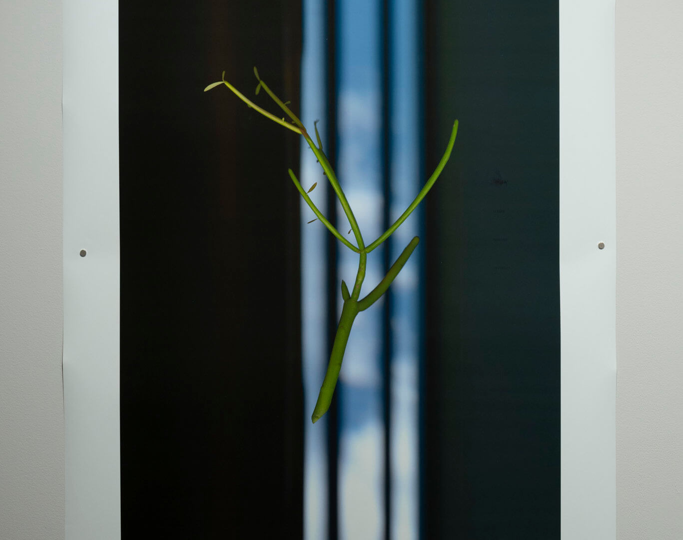 From Here To Sky: I by April Dean. Inkjet and screen print. 44 x 33". 2019. Image credit: Sarah Fuller.