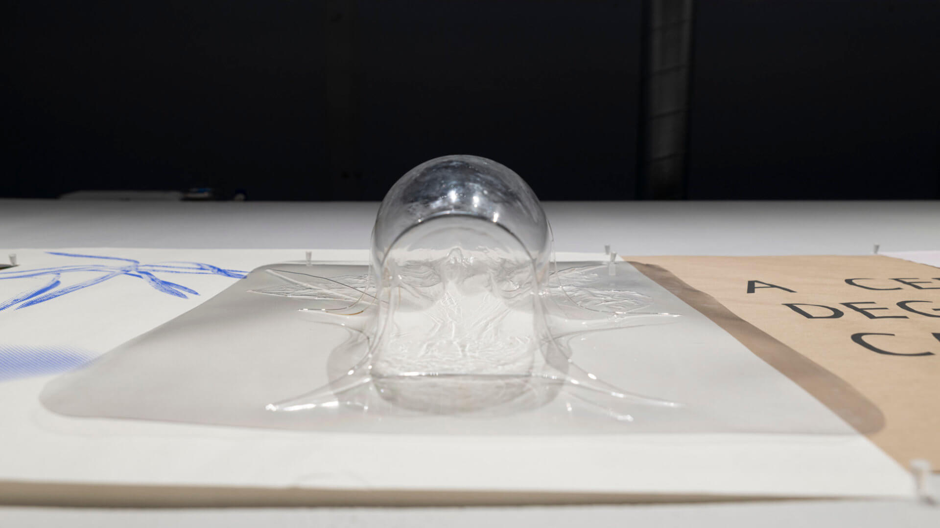 Detail of Living With by April Dean. Screen prints and plastic vacuum forms. Approx. 24 x 13'. 2021. Image credit: Sarah Fuller.