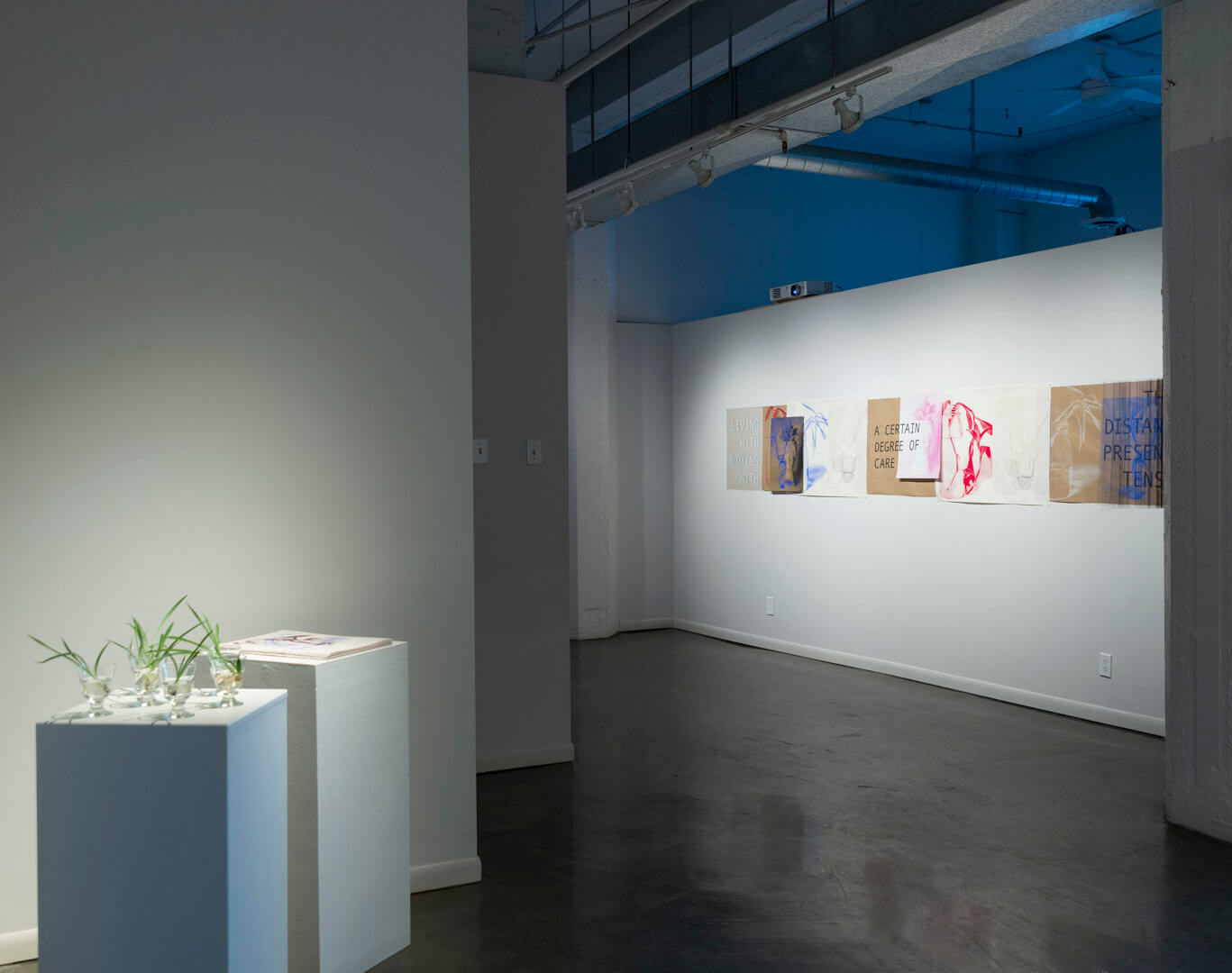 Installation view of Futures Barren / Futures Abundant. Image credit: Sarah Fuller.