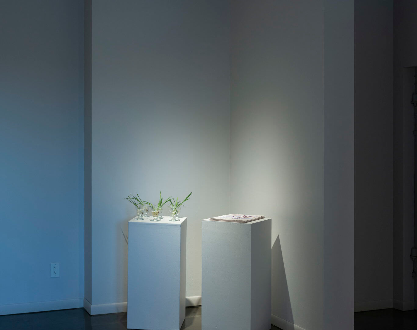 Installation view of Futures Barren / Futures Abundant. Image credit: Sarah Fuller.