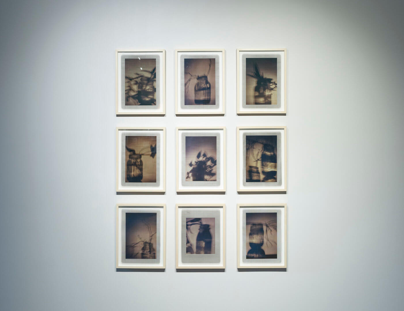 Shadow Clipping I - IX by April Dean. Inkjet print on paper and screen print on clear acrylic. Frame size 17 x 13 x 1". 2019. Image credit: Sarah Fuller.