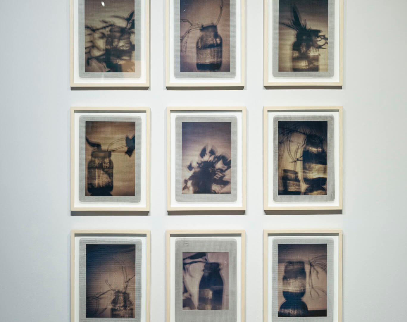 Shadow Clipping I - IX by April Dean. Inkjet print on paper and screen print on clear acrylic. Frame size 17 x 13 x 1". 2019. Image credit: Sarah Fuller.