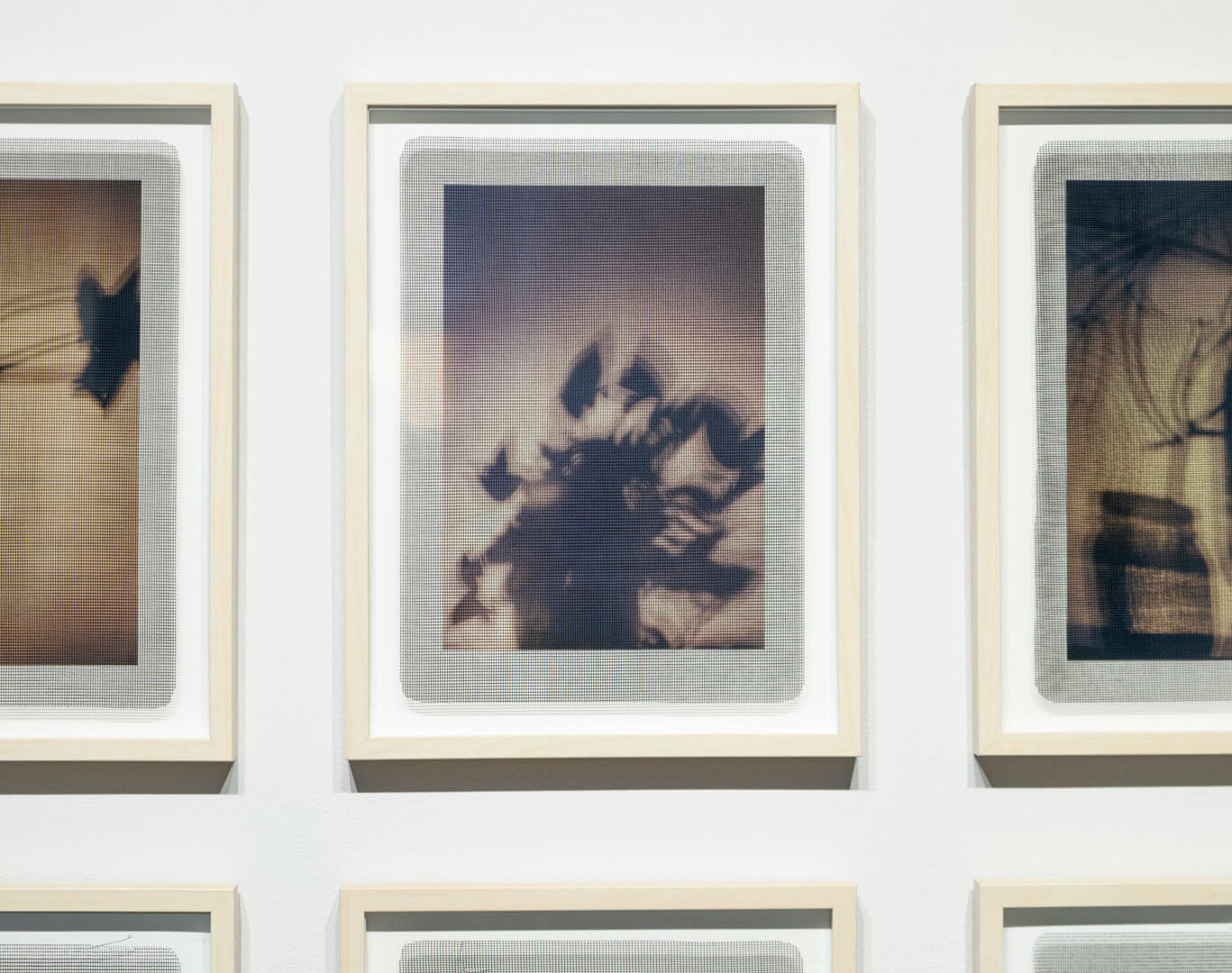 Detail of Shadow Clipping I - IX by April Dean. Inkjet print on paper and screen print on clear acrylic. Frame size 17 x 13 x 1". 2019. Image credit: Sarah Fuller.