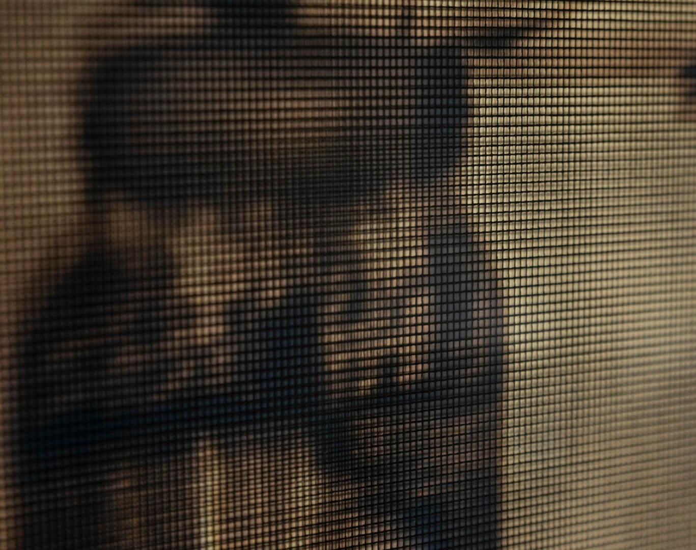 Detail of Shadow Clipping I - IX by April Dean. Inkjet print on paper and screen print on clear acrylic. Frame size 17 x 13 x 1". 2019. Image credit: Sarah Fuller.