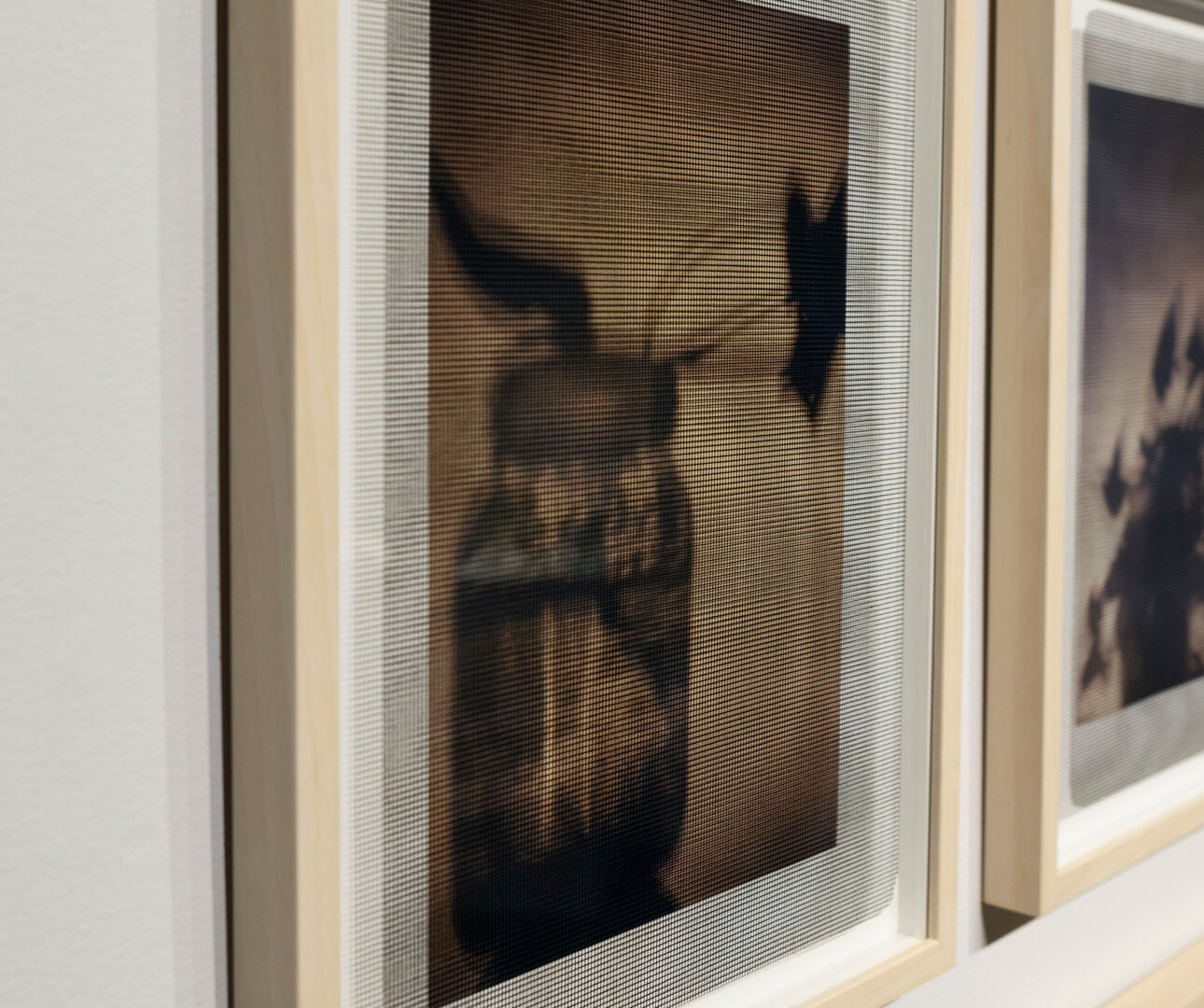 Detail of Shadow Clipping I - IX by April Dean. Inkjet print on paper and screen print on clear acrylic. Frame size 17 x 13 x 1". 2019. Image credit: Sarah Fuller.