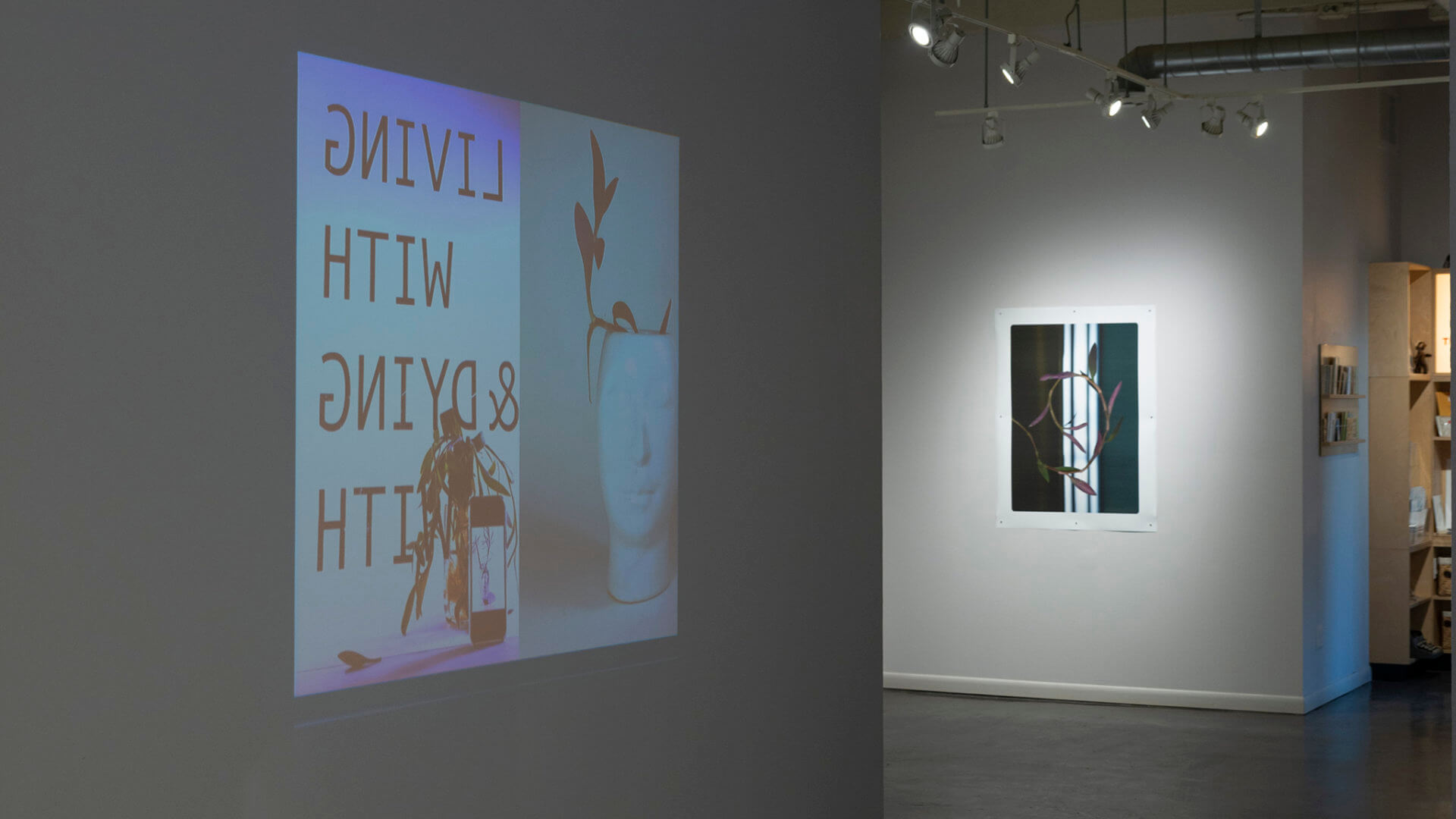 Installation view of Futures Barren / Futures Abundant. Image credit: Sarah Fuller.