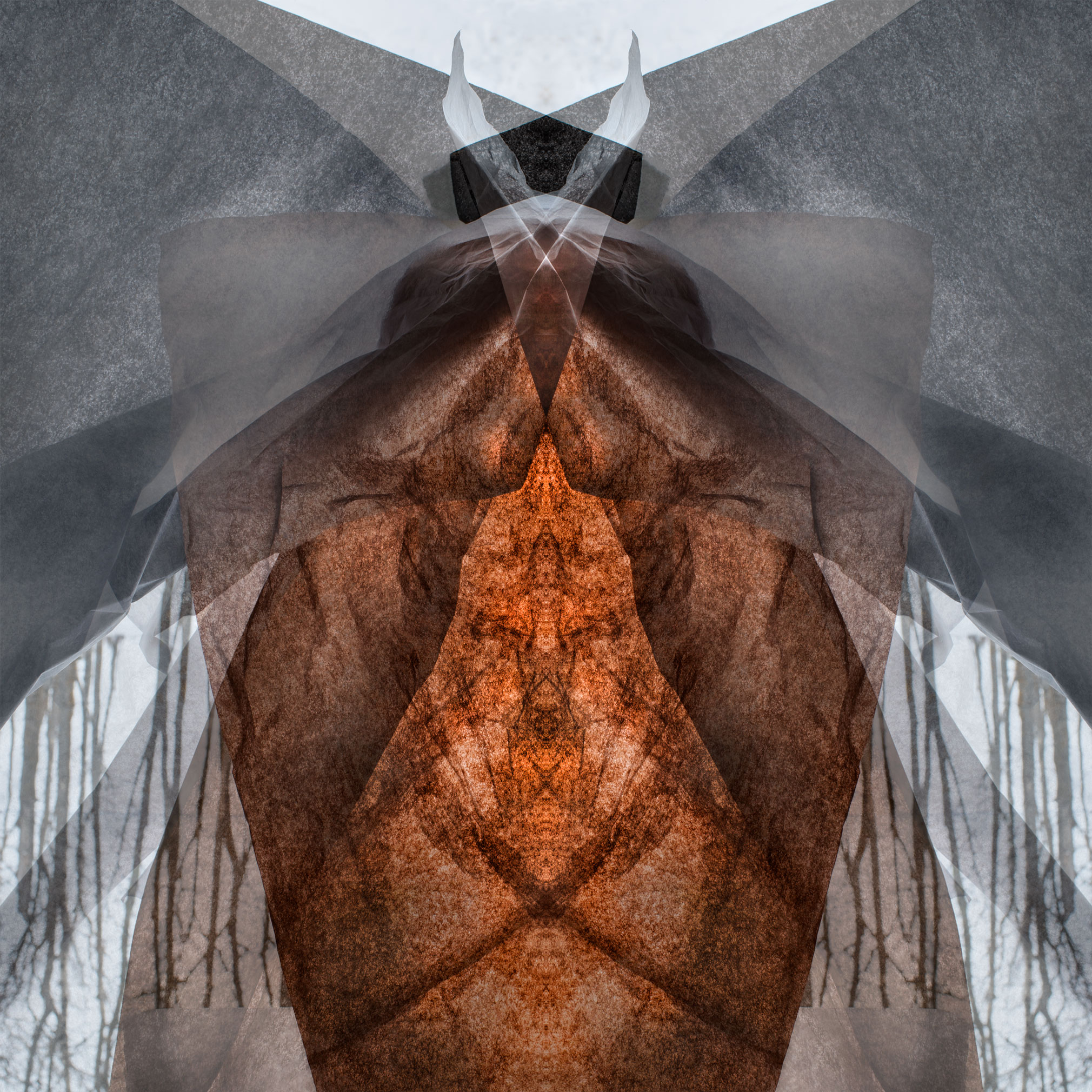 Embedded // Monique Fillion