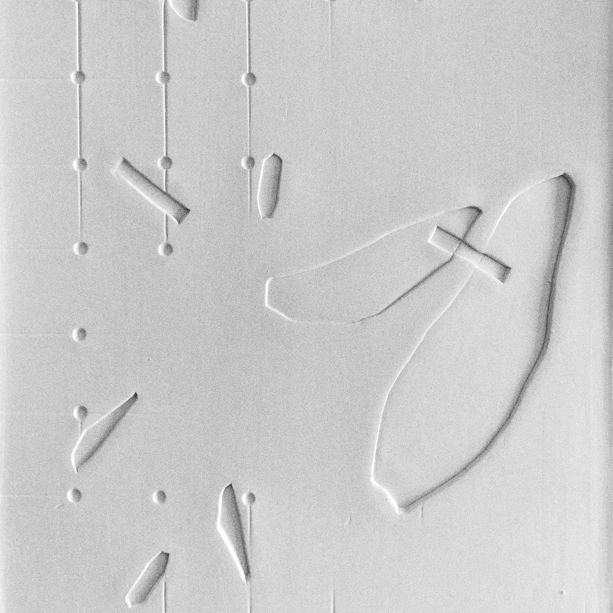 Echoes // Alana MacDougall