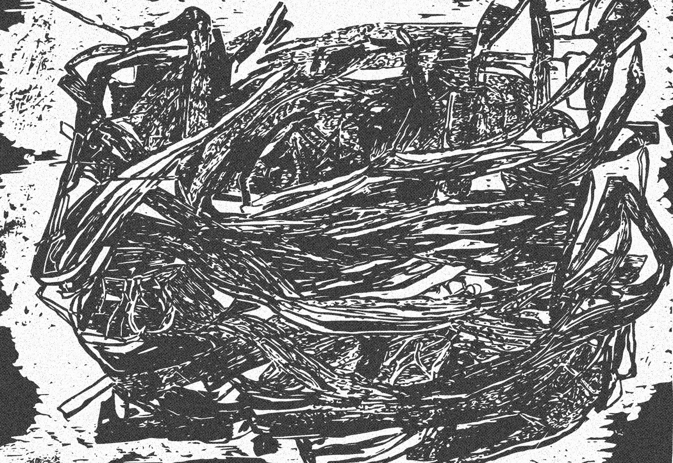 Printed Flight // Lisa Matthias