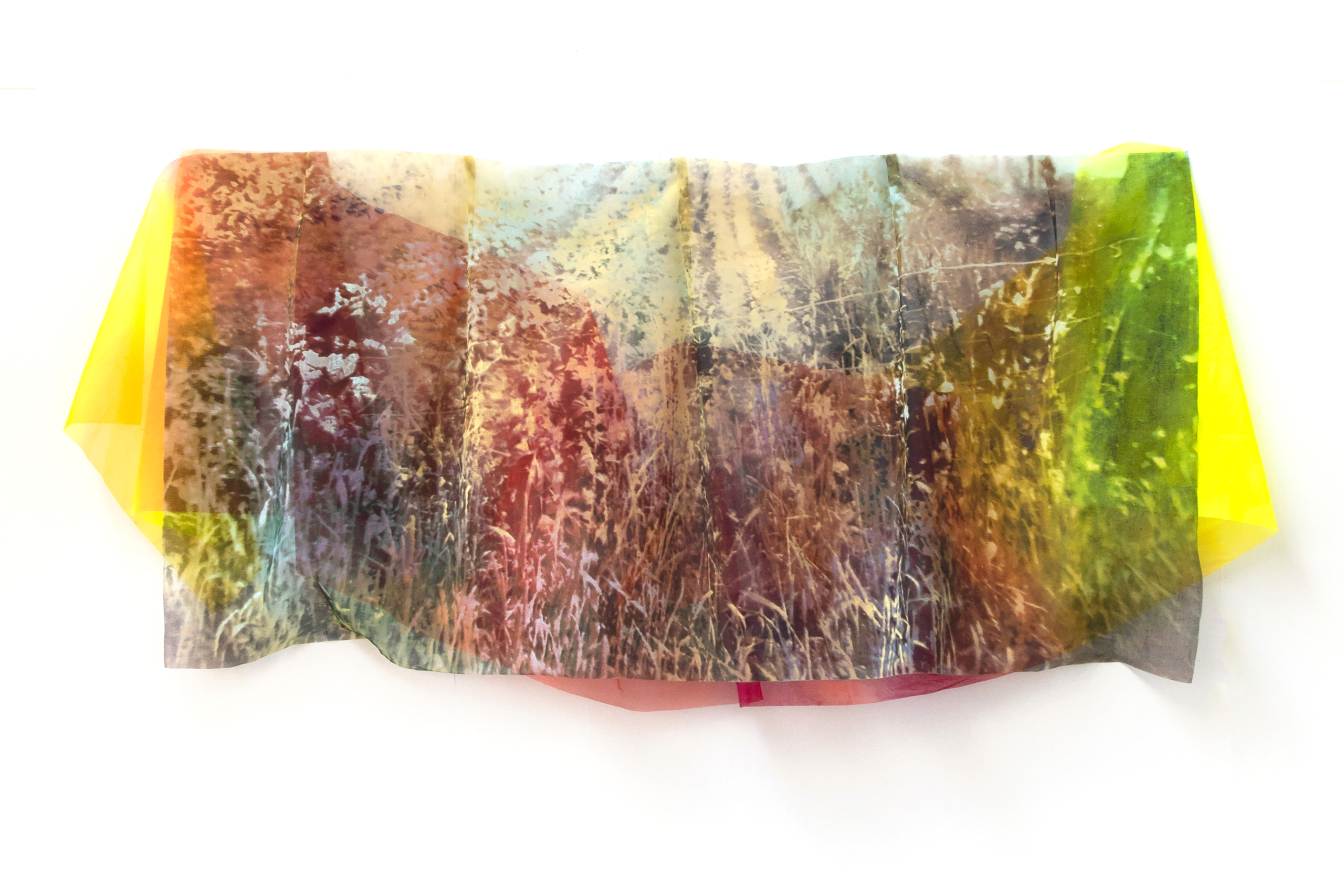 Within the Wider Landscape // Cassandre Boucher